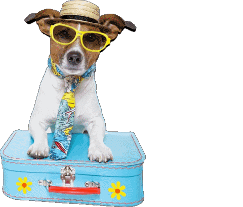 29 Transparent Background Felices Vacaciones Spanish Messages 