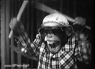 Serie 01 Singes Animaux Humour - Fun 