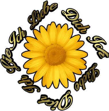 02 Ich Liebe Dich Allemand Messages 