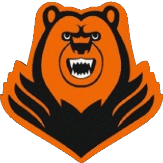 Molot Prikamie Perm Rusia Hockey - Clubs Deportes 