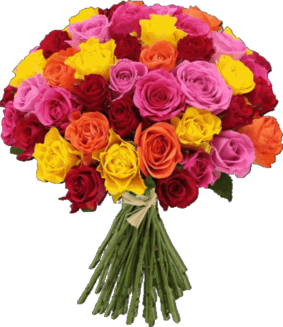 016 Transparenter Hintergrund Floral Happy Birthday Englisch Nachrichten 