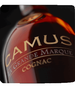 Camus Cognac Bebidas 