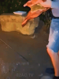 Serie 01 Cibo PERSONE Umorismo -  Fun 