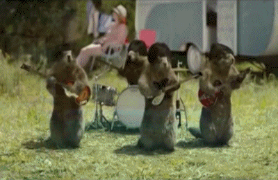 Les Marmottes Musiciens France 3 Chaines -  TV France Multi Média 