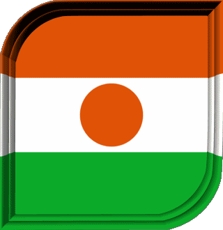 Quadrato Niger Africa Bandiere 