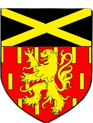 Blasone-Blasone DOMPIERRE SUR BESBRE 03 Dipartimenti - Città Francia Bandiere 