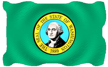 Waving Washington U.S.A - States America Flags 