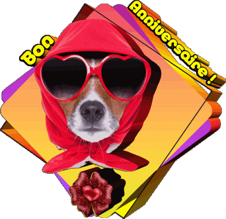 012 Animaux Bon Anniversaire Französisch Nachrichten 