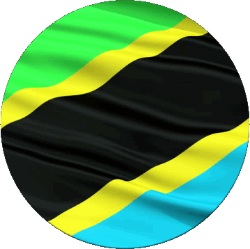 Rond Tanzanie Afrique Drapeaux 