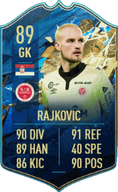 Predrag Rajkovic Serbie F I F A - Joueurs Cartes Jeux Vidéo Multi Média 