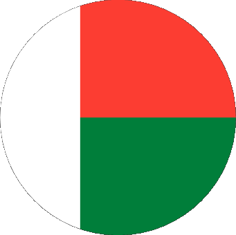Round Madagascar Africa Flags 