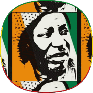 Alpha Blondy Reggae Musica Multimedia 