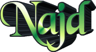 Najd N MASCULINE - Maghreb Muslim First Names 