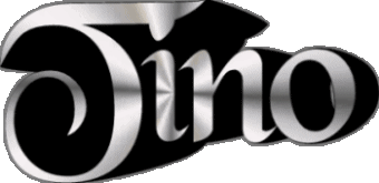 Tino T MASCULIN - Italie Prénoms 