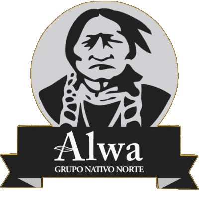 Alwa Argentina Aperitivos - Chips - Snack Comida 