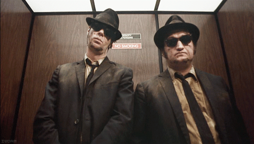 Video Blues Brothers V International Multimedia 