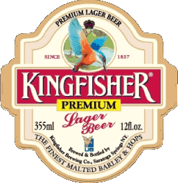 Kingfisher Inde Bières Boissons 