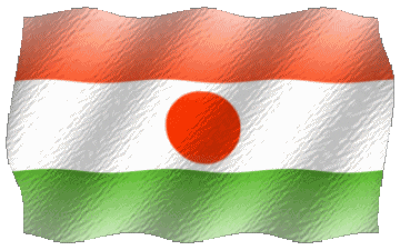 Ondulation Niger Afrique Drapeaux 