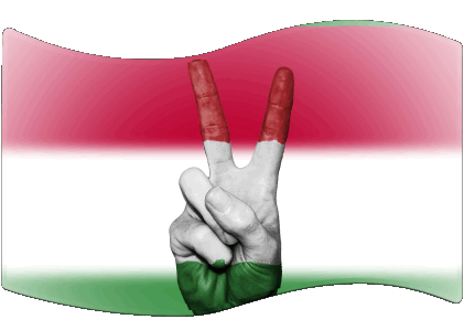 Rettangolo Ungheria Europa Bandiere 