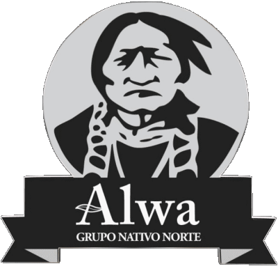 Alwa Argentina Snack - Chips - Crips Food 