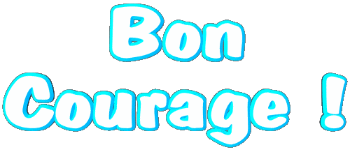 04 Bon Courage French Messages 