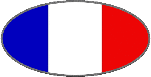 Oval National France Flags 