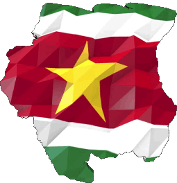 Karte Suriname Amerika Fahnen 