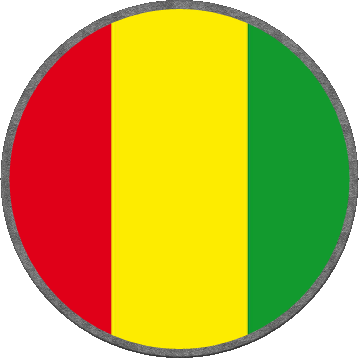 Rond Guinée Afrique Drapeaux 