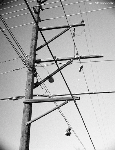 Stéreoscopique Wiggle Effetti 3d Umorismo -  Fun 