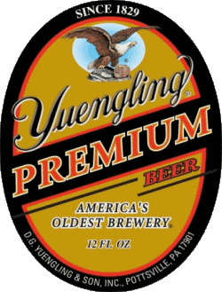 Yuengling USA Beers Drinks 