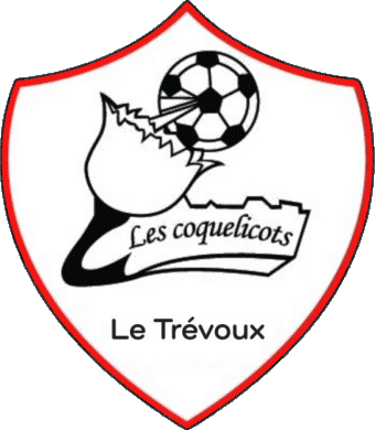 Les Coquelicots du Trévoux 29 - Finistère Bretagne Soccer Club France Sports 