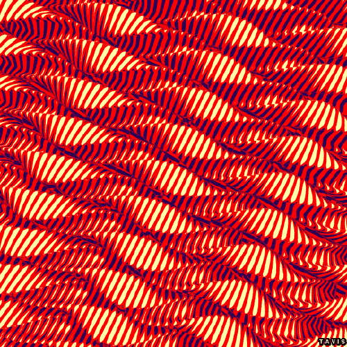 Bill Tavis GIF Künstler Humor -  Fun 