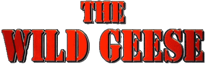 Logo Anglais Les Oies Sauvages Cinéma International Multi Média 