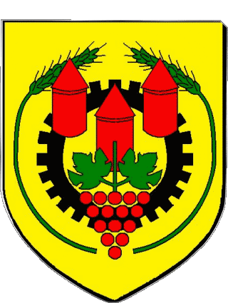 Blazon-Blazon ESVRES 37 Departments - Cities France Flags 