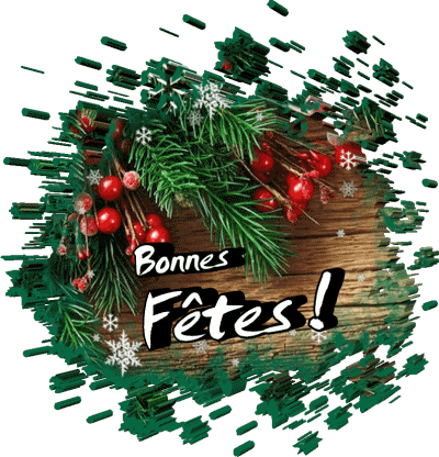 Serie 14 Bonnes Fêtes (Noël) French Messages 