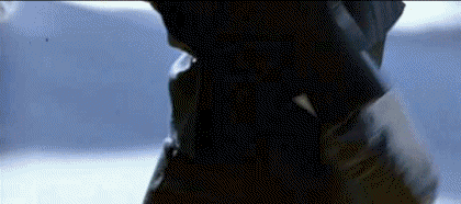 02 Video Beverly Hills Cop V International Multimedia 