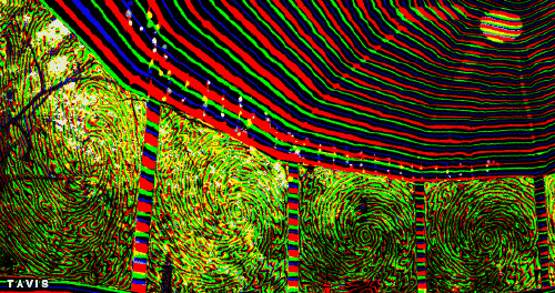 Bill Tavis GIF Artista Umorismo -  Fun 