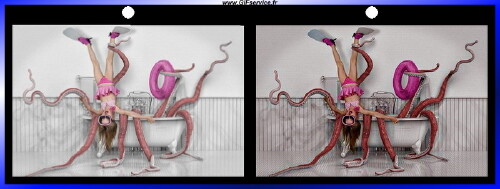 Matrice-Matrice Stéreoscopique Wiggle avec Matrice 3d Effects Humor -  Fun 