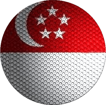 Round Singapore Asia Flags 