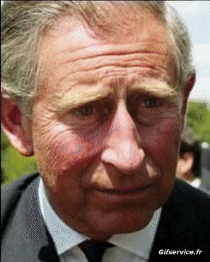 Prince Charles - Dobby-Prince Charles - Dobby People Serie 03 People - Vip Morphing - Parece Humor - Fun 