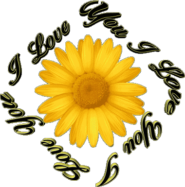 02 I Love You English Messages 