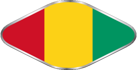 Oval 02 Guinea Afrika Fahnen 