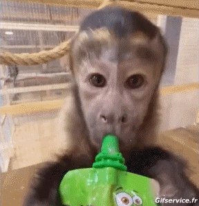 Serie 02 Monos Animales Humor - Fun 