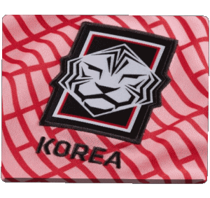 Corea del Sur Asia Fútbol - Equipos nacionales - Ligas - Federación Deportes 