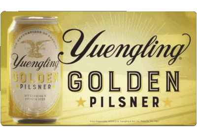 Yuengling USA Beers Drinks 