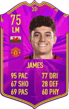Daniel James Pays de Galles F I F A - Joueurs Cartes Jeux Vidéo Multi Média 