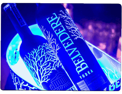 Belvedere Vodka Drinks 