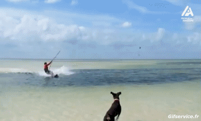Fun Win Kite Surf Sports Humor -  Fun 