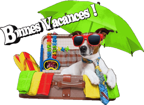 11 Sfondo trasparente Bonnes Vacances Francese Messagi 