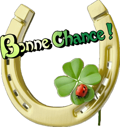 08 Transparent Background Bonne Chance French Messages 